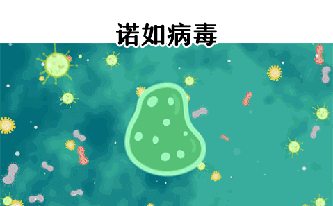 1604538531205158.gif