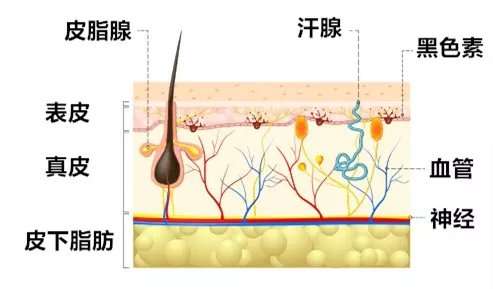 1606263531327982.png