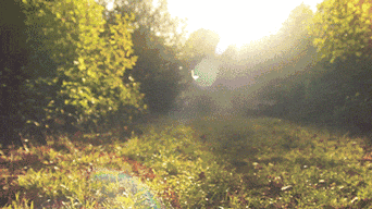 640 (2).gif