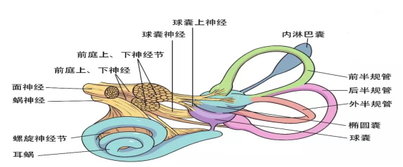 640 (1).png