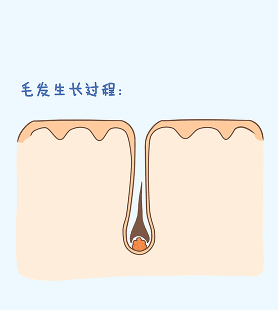 640.gif