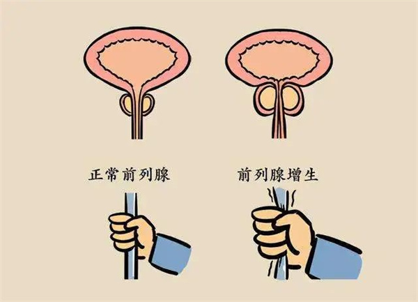 微信图片_20221021151640.jpg