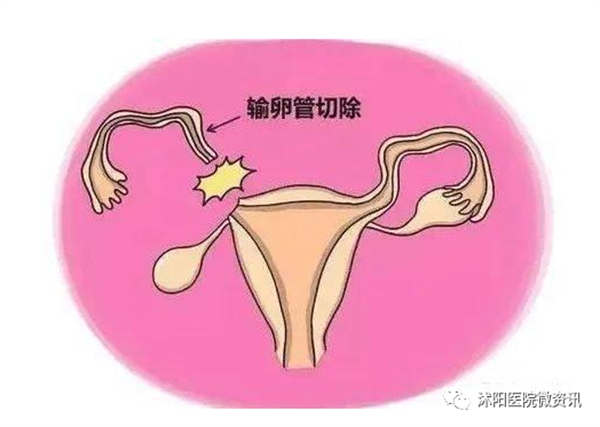 微信图片_20230419100859.png