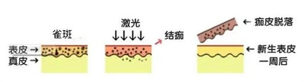 微信图片_20230729080709_1.jpg
