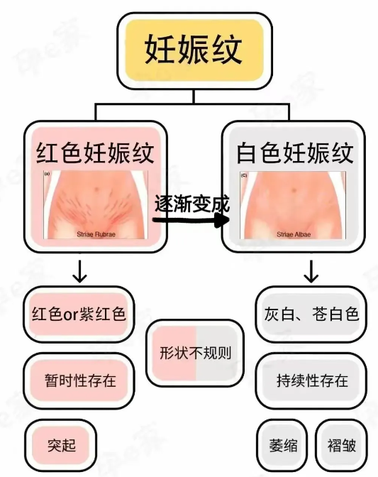微信图片_20240716082309.png