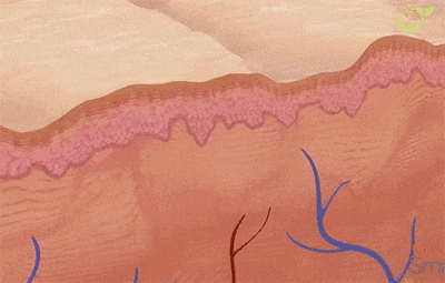 640.gif
