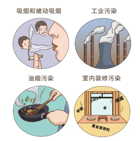 640.webp (1).png